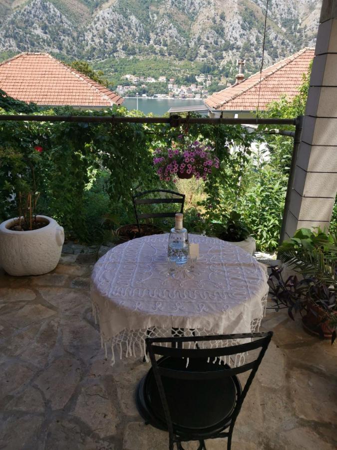 Apartments Coso Zlatne Njive Bb Kotor Exterior foto
