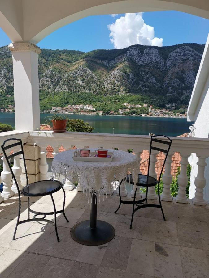 Apartments Coso Zlatne Njive Bb Kotor Exterior foto