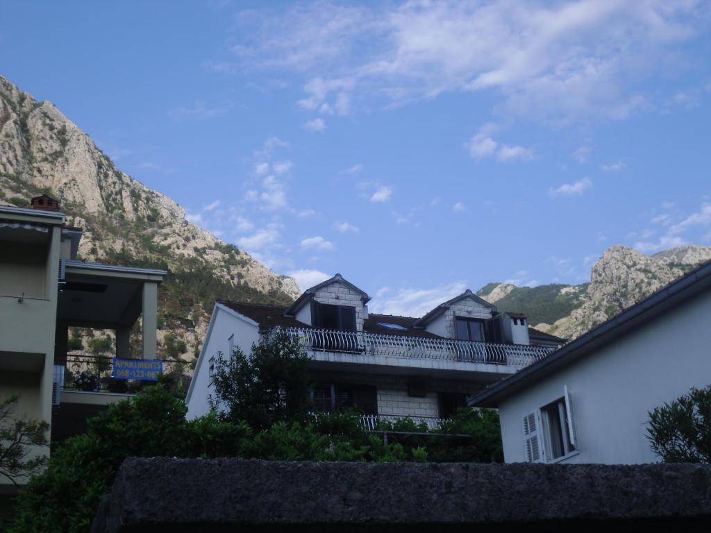 Apartments Coso Zlatne Njive Bb Kotor Habitación foto