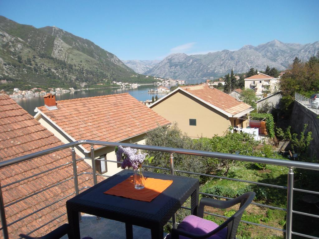 Apartments Coso Zlatne Njive Bb Kotor Exterior foto